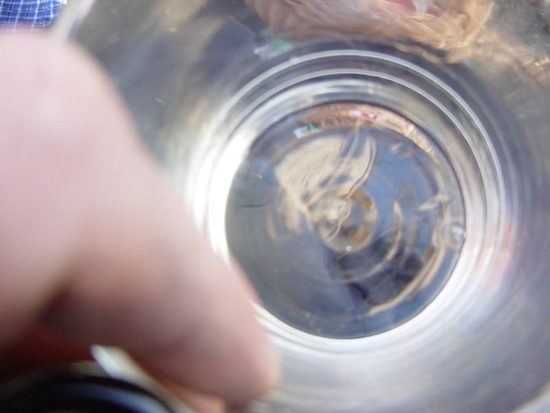 2003 ringtreffen mahlstetten 3 20110325