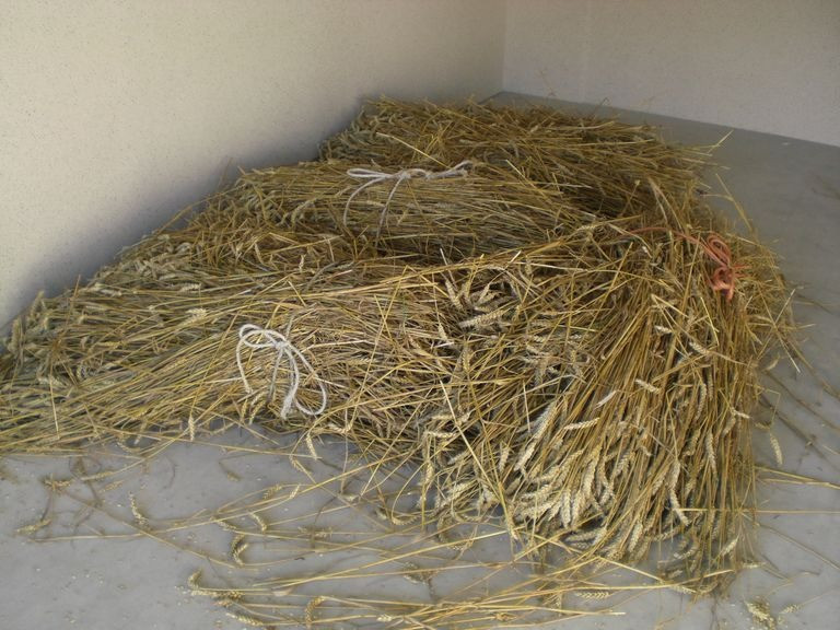 2008 einweihung mittelstation 20110325