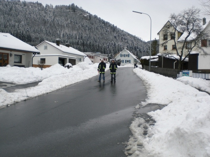 2009 narrentreiben egesheim 20110325