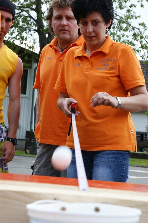 2010 juhegana 20110325