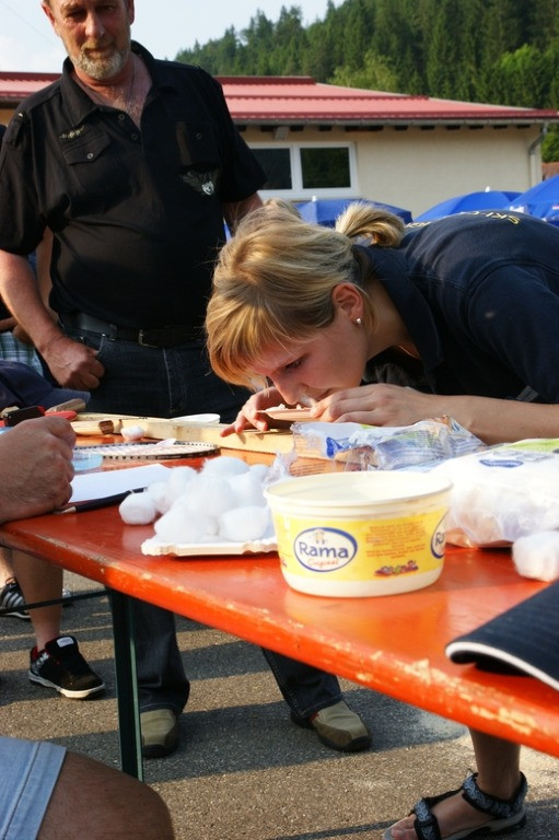 2010 juhegana 20110325