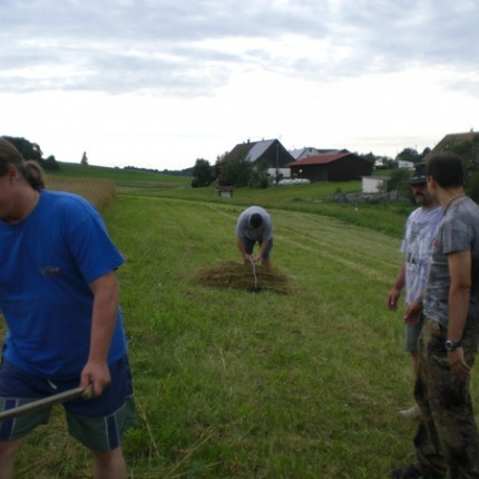 2010 Strohschneiden