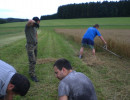 2010 strohschneiden 20110329