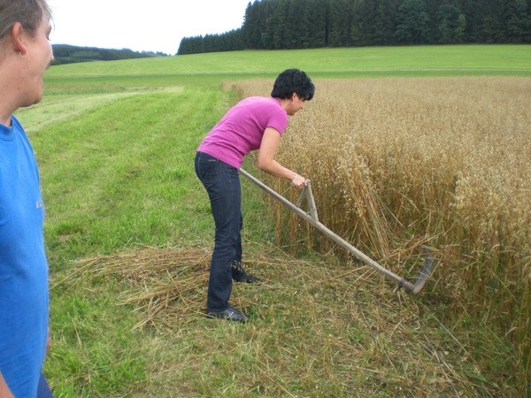 2010 strohschneiden 20110329