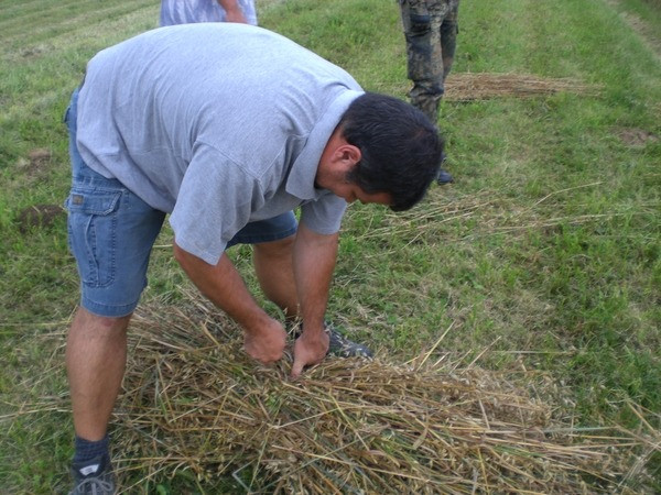 2010 strohschneiden 20110329