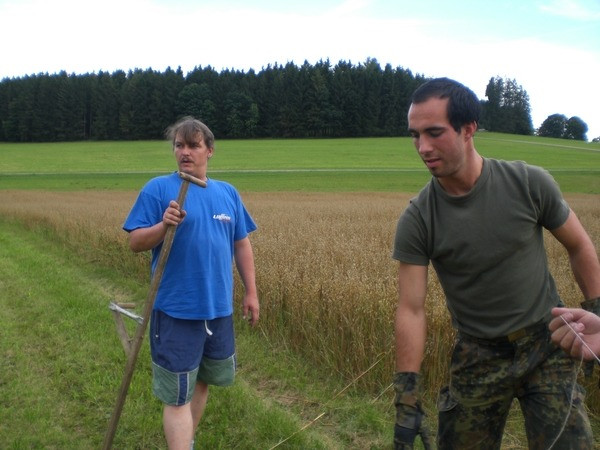 2010 strohschneiden 20110329