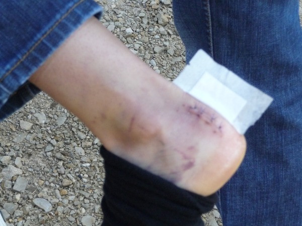 2010 wurstwagen die erste 20110329