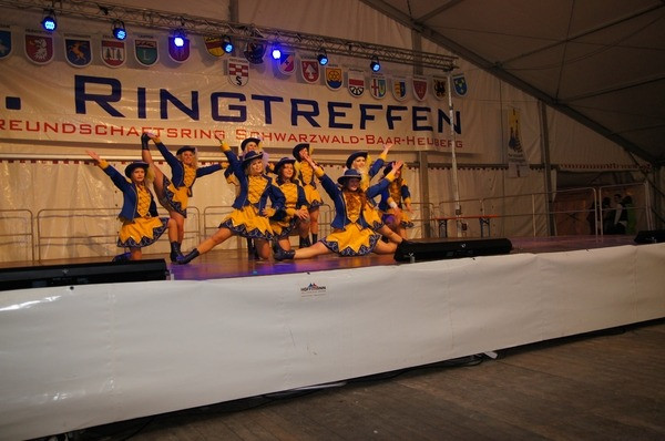2011 gardewettbewerb frittlingen 20110325