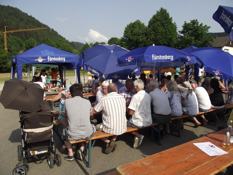 2012 juhegana 20120702