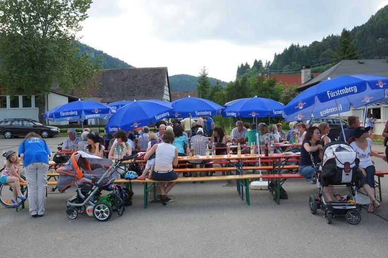 2013 juhegana 20130708