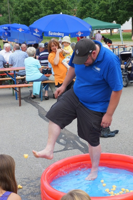 2013 juhegana 20130708