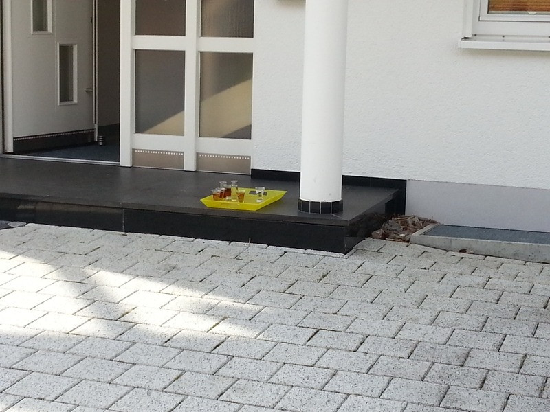 2014 fasnetsbaendel die 2te 20140119