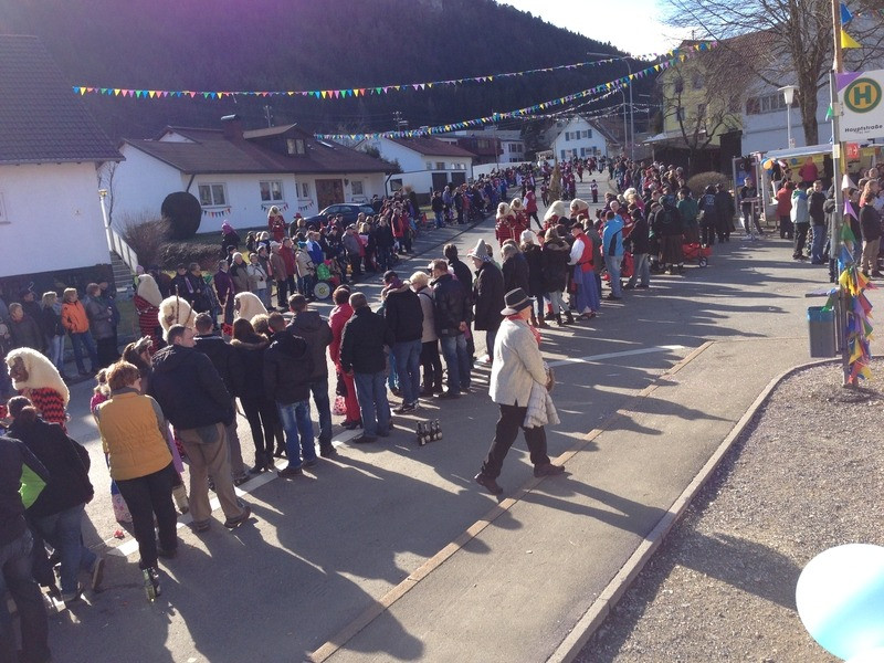 2014 festumzug vom sprecherwagen aus 20140304