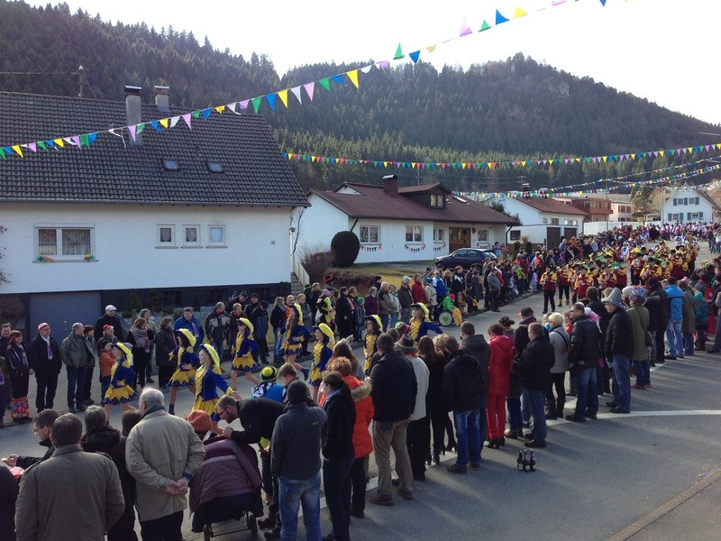 2014 festumzug vom sprecherwagen aus 20140304
