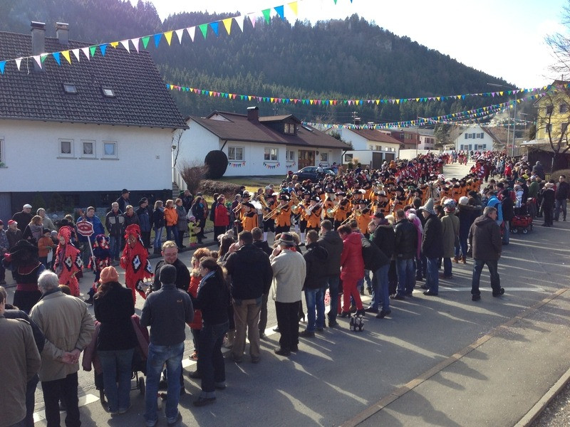 2014 festumzug vom sprecherwagen aus 20140304