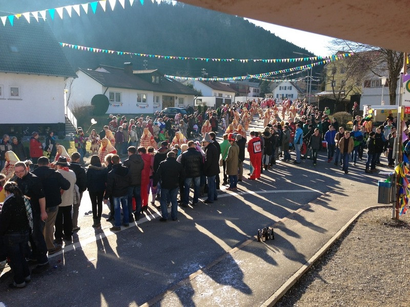 2014 festumzug vom sprecherwagen aus 20140304