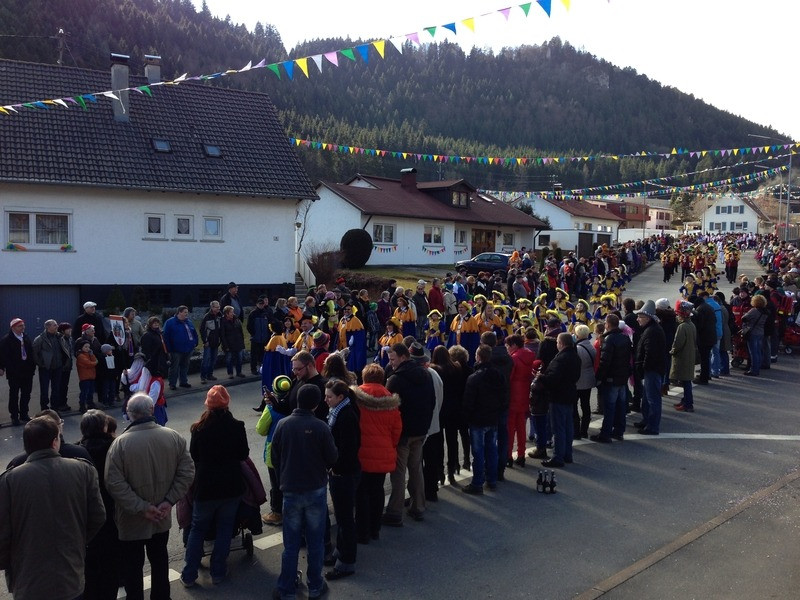 2014 festumzug vom sprecherwagen aus 20140304