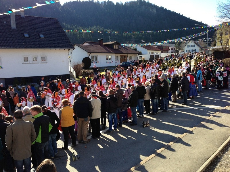 2014 festumzug vom sprecherwagen aus 20140304