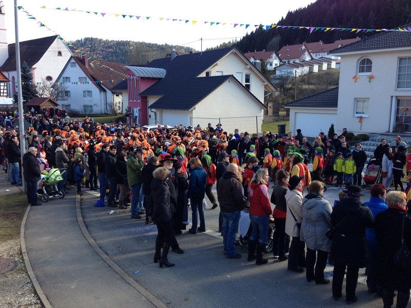 2014 festumzug vom sprecherwagen aus 20140304