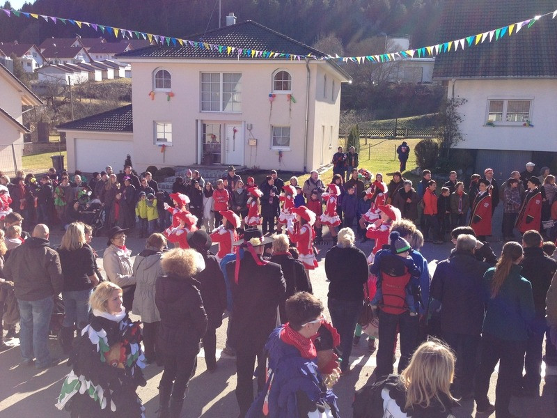 2014 festumzug vom sprecherwagen aus 20140304