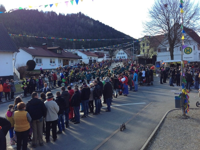 2014 festumzug vom sprecherwagen aus 20140304