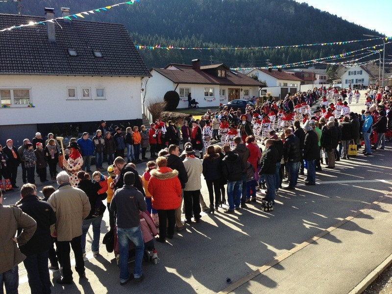 2014 festumzug vom sprecherwagen aus 20140304