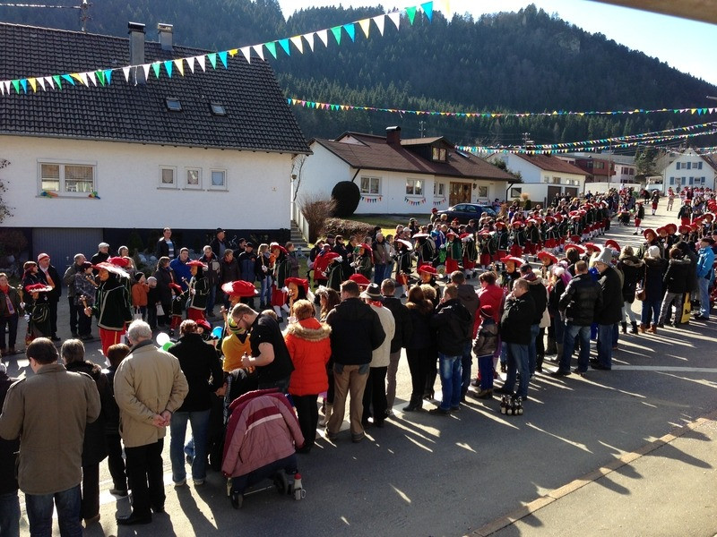 2014 festumzug vom sprecherwagen aus 20140304