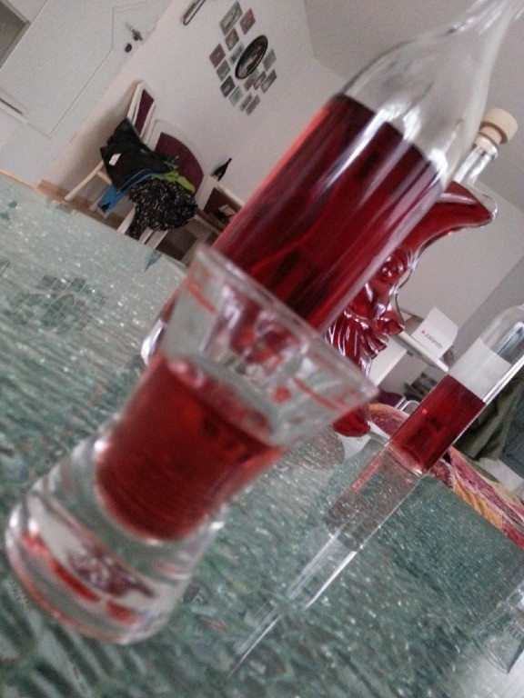 2014 nachtumzug heinstetten 20140113