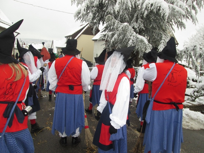 2015 hartheim umzug 20150219