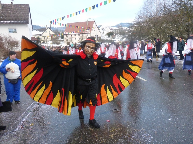 2016 ringtreffen denkingen 20160126