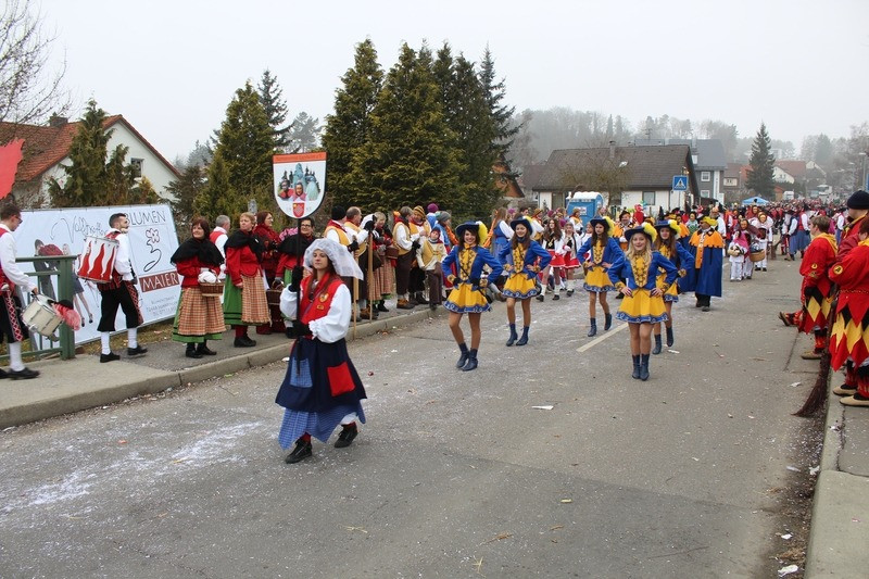 2017 umzug laiz 56 20170516