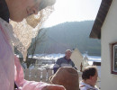 2003 schmotziger egesheim 20110325