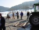 2003 schmotziger egesheim 20110325