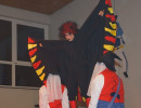 2013 bunter abend egesheim 20130212